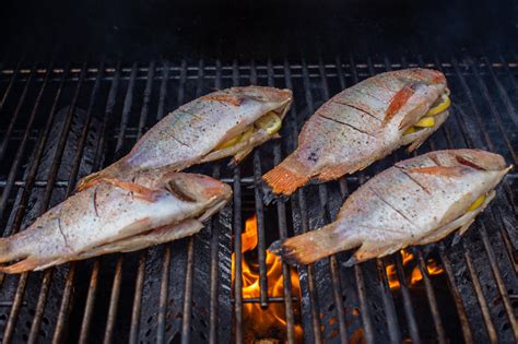 How to Braai Tilapia Fish: Easy Grilled Recipe with Lemon, .